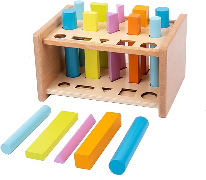 Montessori Shape Matching Toy